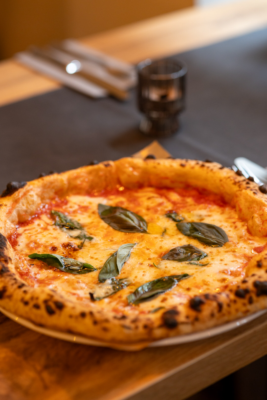 260202_Racoon Media_31